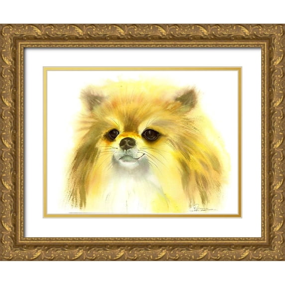 Shefranov, Olga 24x19 Gold Ornate Wood Framed with Double Matting Museum Art Print Titled - Pomeranian