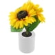 thumbnail image 1 of BESTYASH Decorativa Girasol Con Para , Dormitorio Y Ambiente, 1 of 6