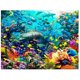 thumbnail image 1 of Poster Lenticular 3D Live Life Pctures - Dophin Delight Deluxebase 12348, 1 of 2