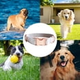 thumbnail image 5 of Double Dog Leash, Rose Gold Fastener, 5 of 5