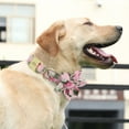 thumbnail image 2 of Pet Artist Personalized Dog Collars Nylon Adjustable Flower Puppy Collars ID Name Free Engraved, 2 of 10