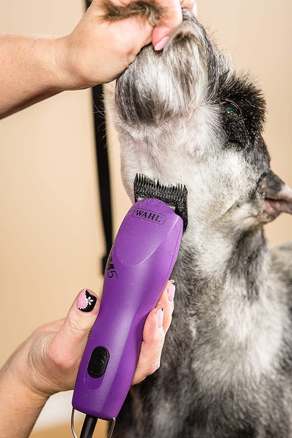 wahl km5 dog clippers