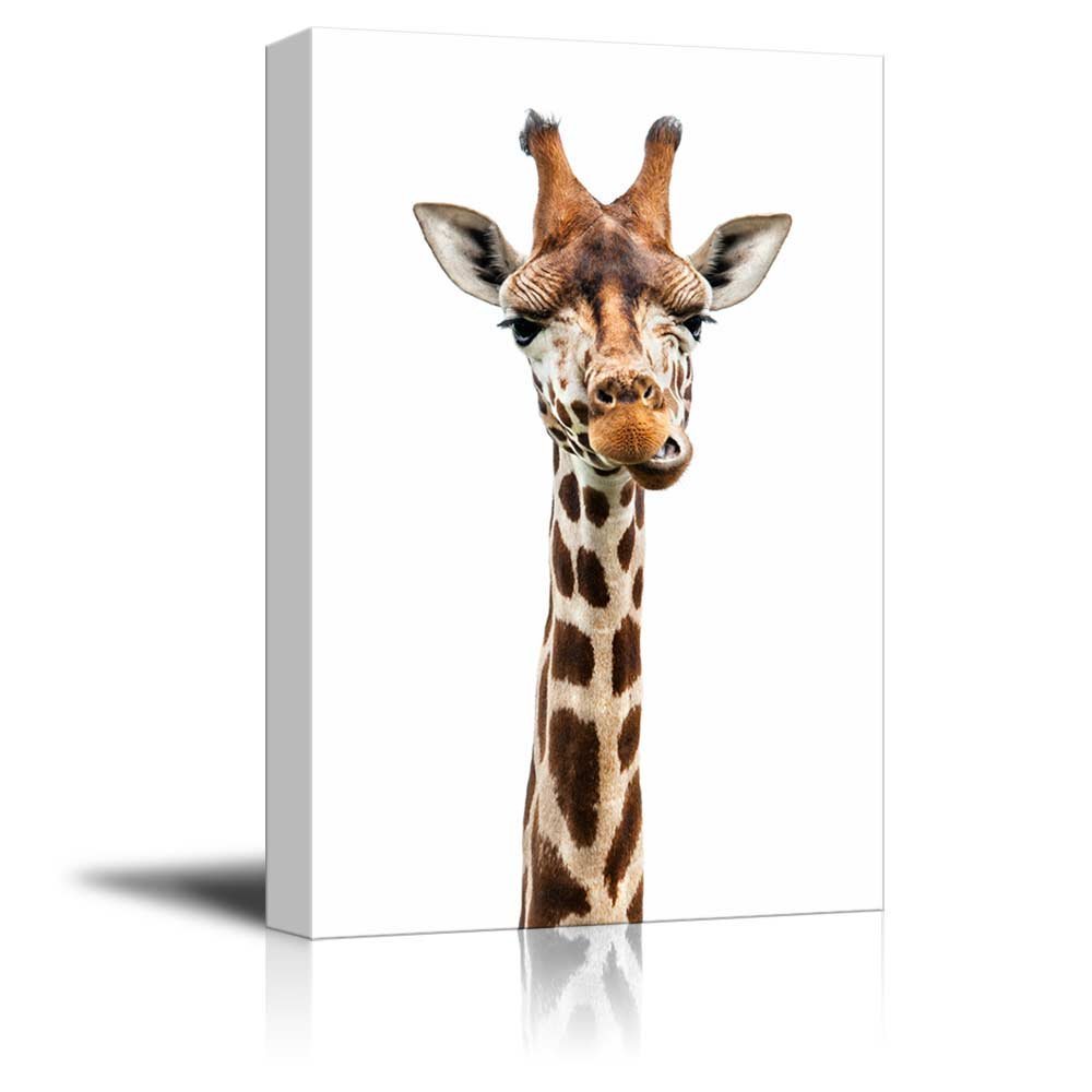 wall26 Canvas Wall Art A Giraffe Giclee Print Gallery Wrap Modern