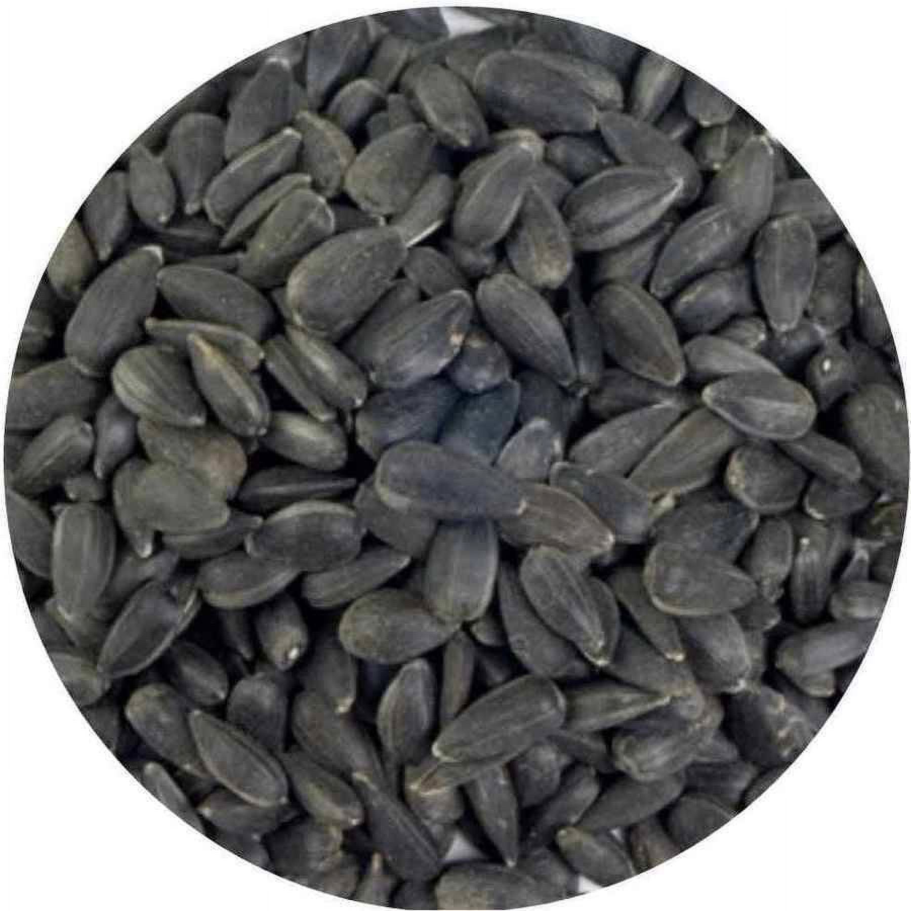 10 LB Wagner's Four Season Sunflower Wild Bird Food