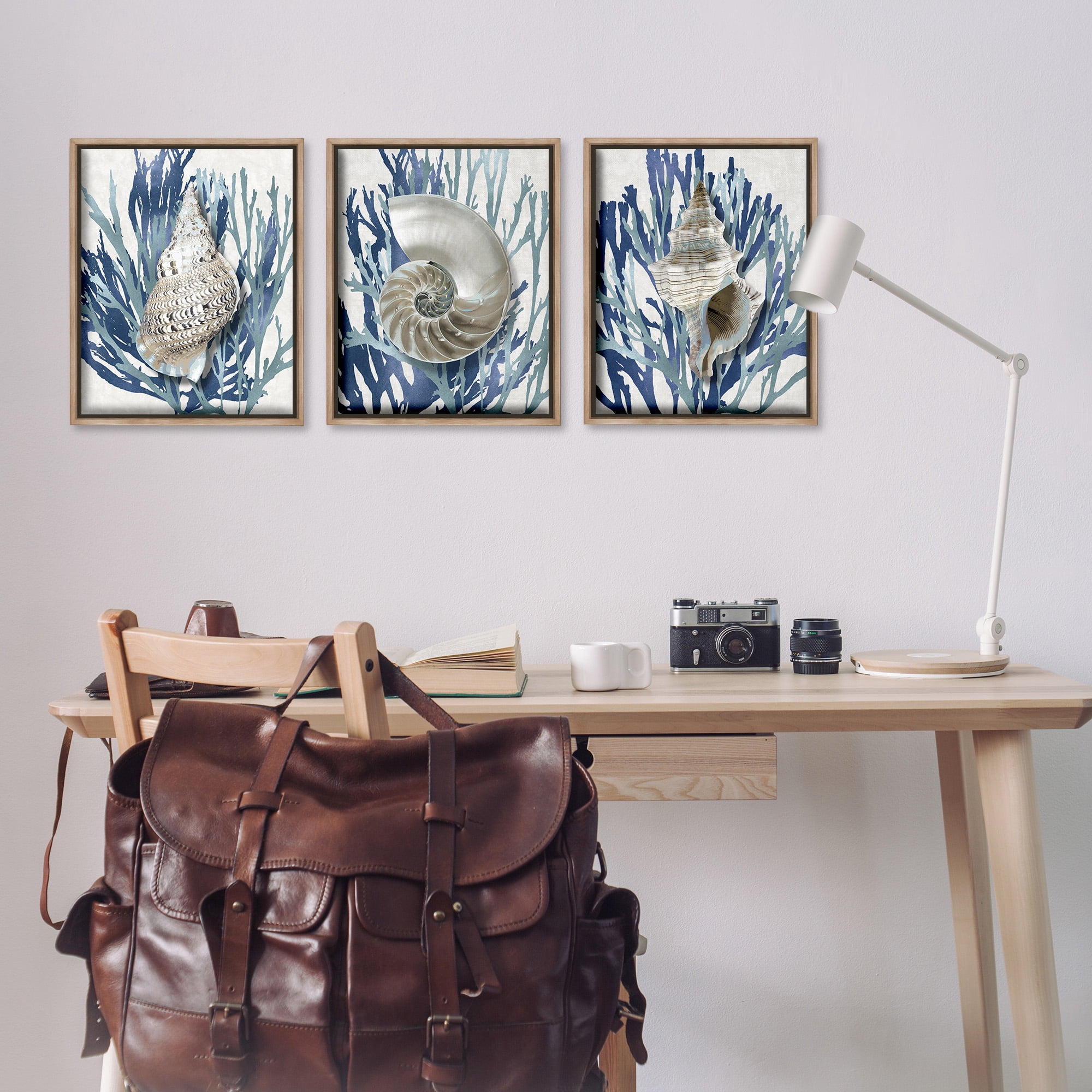 Stupell Industries Trio of Shells & Coral Nature Painting Brown Floater Framed Canvas Art Print Wall Art, 17 x 21, Set of 3