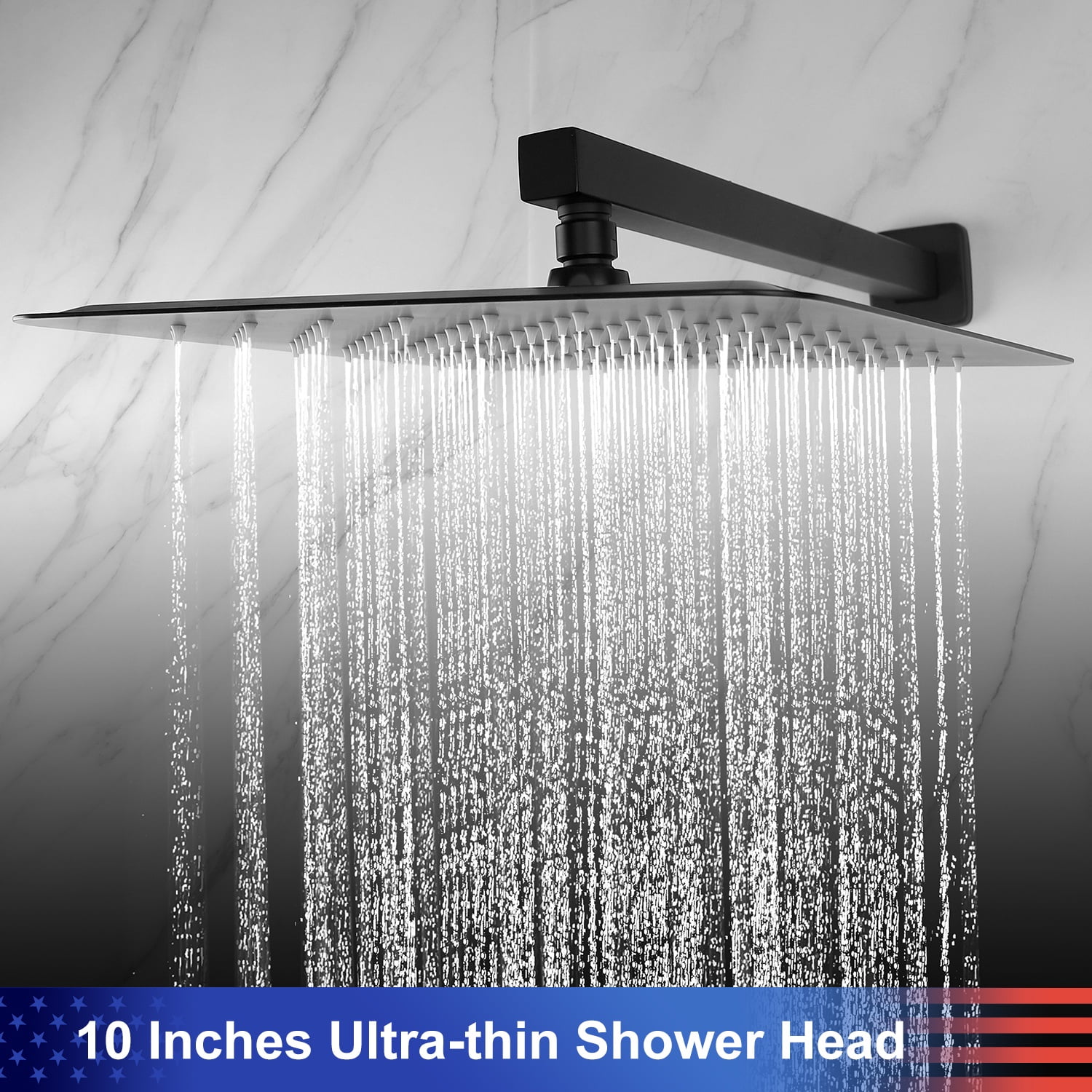 Rainlex One-Handle 1-Spray Setting Matte Black Bathtub Shower Faucet