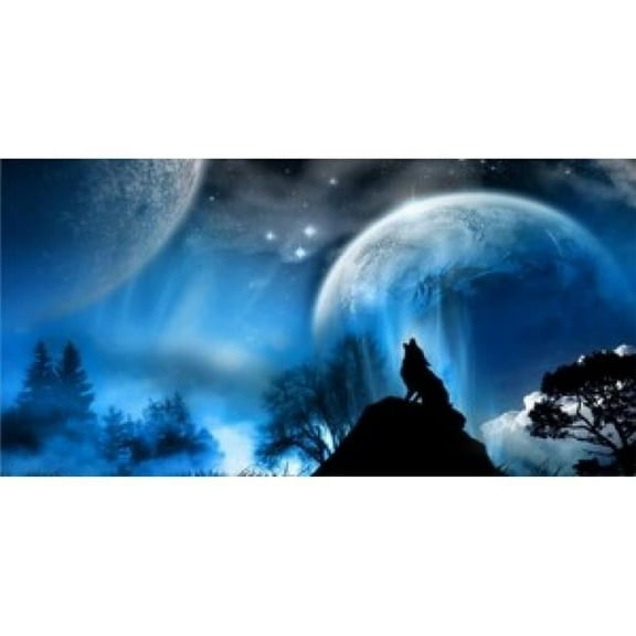 212 Main LPO613 Howling Wolf Photo License Plate