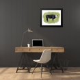 thumbnail image 4 of Popp, Grace 24x20 Black Modern Framed Museum Art Print Titled - Hereford Graze I, 4 of 5