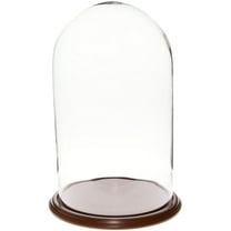 Plymor 11.75" x 20" Glass Display Dome Cloche (Walnut Veneer Base)