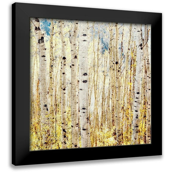 Tyrrell, Lu Anne 12x12 Black Modern Framed Museum Art Print Titled - Birch Grove