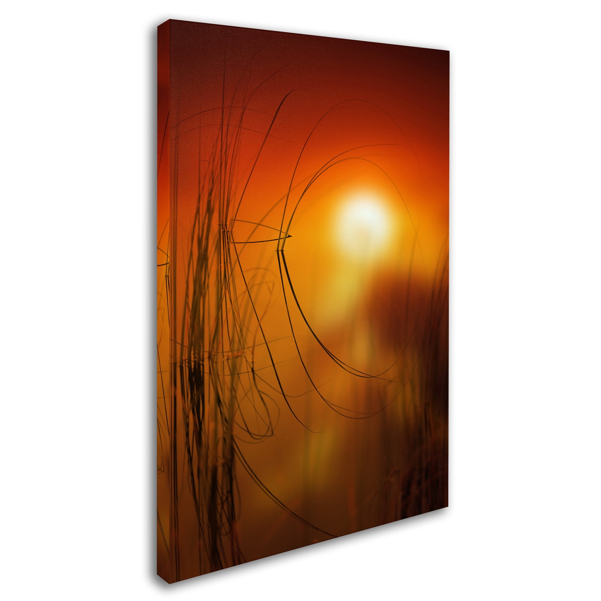 Trademark Fine Art "Nature Time Machine" Canvas Art by Philippe Sainte-Laudy