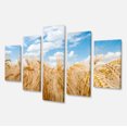 thumbnail image 2 of Barley Field under Blue Sky - Landscape Canvas Art Print, 2 of 3