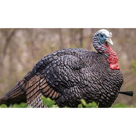 Primos Hunting Lil Gobstopper Hen and Jake Combo Decoy Light-Weight Collapsible Hunting Decoy 69075