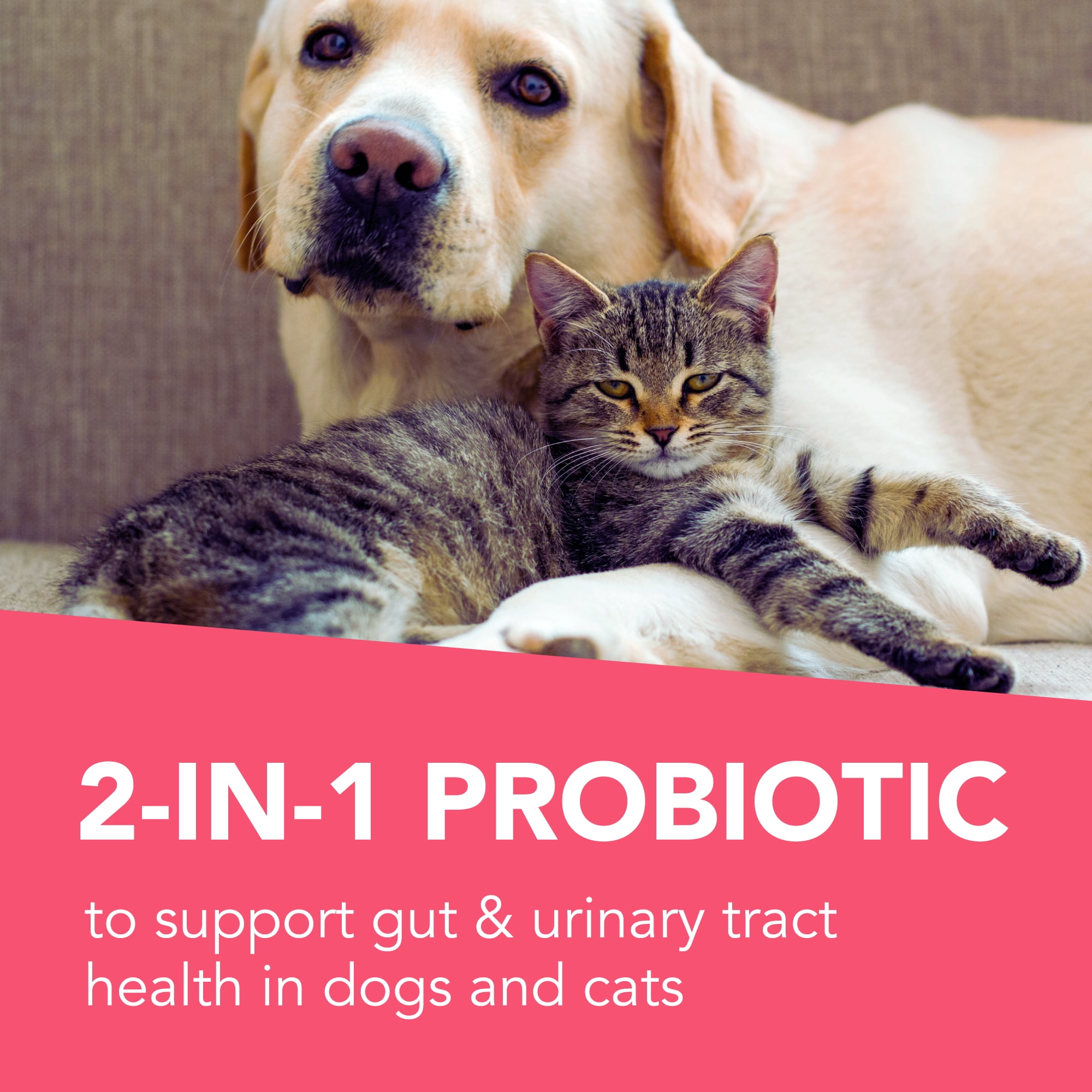 VetriScience Acetylator Digestive Health for Dogs & Cats, 120 Capsules
