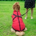 thumbnail image 2 of OUSITAID Wuffmeow Cozy Pet Dog Cold Weather Coats Waterproof Windproof Winter Dog Jacket with Durable D-ring and Reflective Vest for Small Medium Large Dogs, 2 of 6