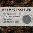 thumbnail image 4 of Jonathan Green 11355 Mag-I-Cal Soil Food, 54 lb Bag, Granular Brown/Gray, 4 of 5