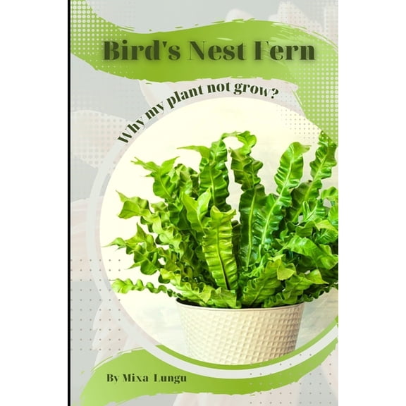 Bird's Nest Fern: Why my Plant not grow? problems and their solutions, (Paperback)