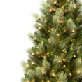 thumbnail image 5 of National Tree Company 9 ft. Pre-Lit Charleston Pine Artificial Christmas Tree with 600 Clear Lights, Full Profile, 5 of 9