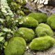 thumbnail image 3 of Rocas de musgo artificiales Afortunado 30 piezas 3 tamaños bolas de musgo verde Sencillez, 3 of 4