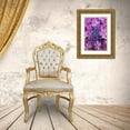 thumbnail image 3 of Rotenberg, Nancy 17x24 Gold Ornate Wood Framed with Double Matting Museum Art Print Titled - Grape Hyacinth in Phlox in garden, 3 of 4