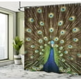 thumbnail image 5 of Ambesonne Colorful Shower Curtain, Peacock with Feathers, 69"Wx84"L, Navy Blue Green Brown, 5 of 5