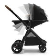 thumbnail image 3 of Mompush Ultimate2 Convertible Standard Stroller with Car Seat Adapter, Black, 3 of 7