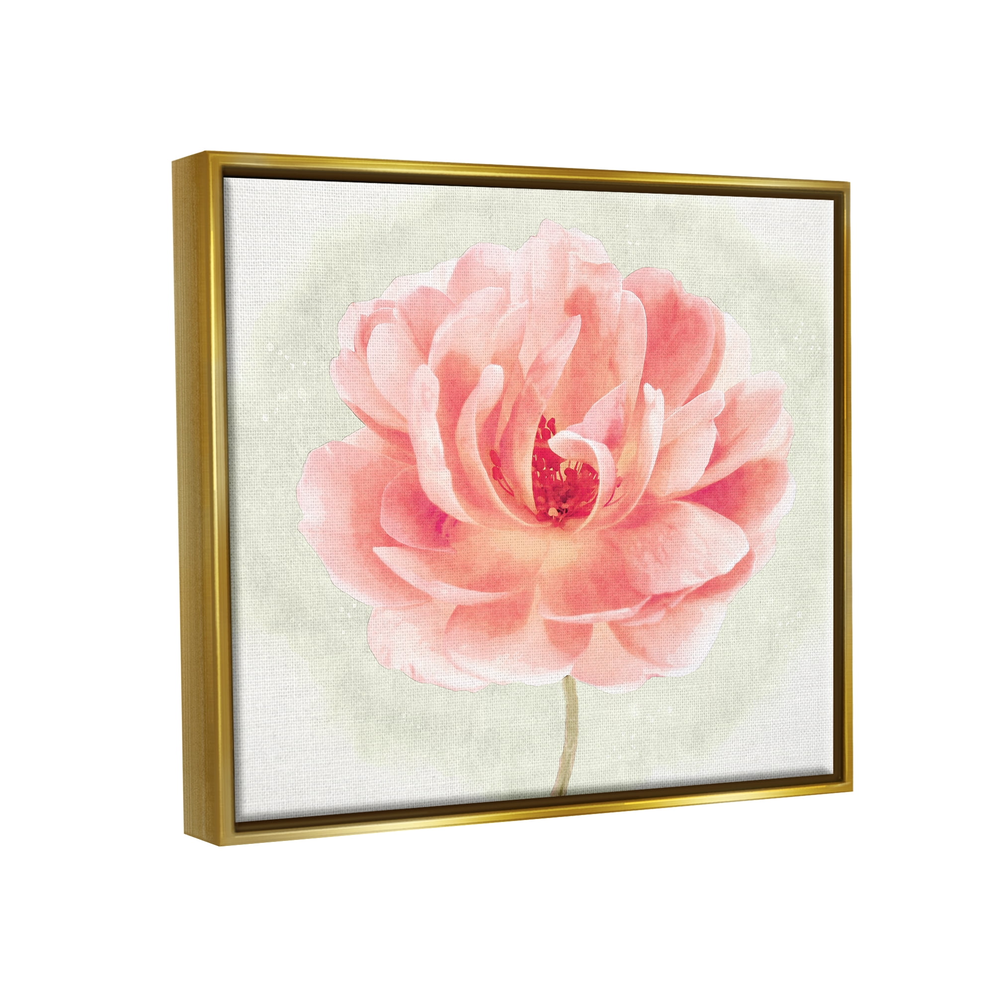 Stupell Industries Soft Pink Peony Botanical & Floral Painting Gold Floater Framed Canvas Art Print Wall Art, 31 x 25