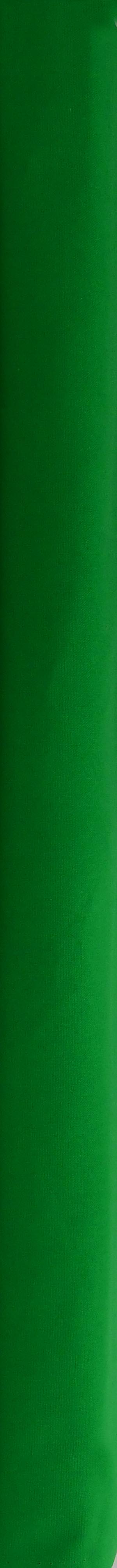 Waverly Inspirations 100% Cotton Duck 54" Width Solid Kelly Green Quilt Crafts Sewing Fabric by the Yard