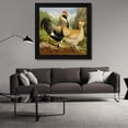 thumbnail image 3 of Lewis Wright 20x20 Black Modern Wood Framed Wall Art Titled - Chickens: Salmon Faverolles, 3 of 6