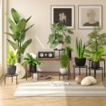 thumbnail image 2 of Set de 5 soportes para plantas VECELO de metal resistente, color negro, 2 of 7