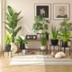 thumbnail image 2 of Set de 5 soportes para plantas VECELO de metal resistente, color negro, 2 of 7