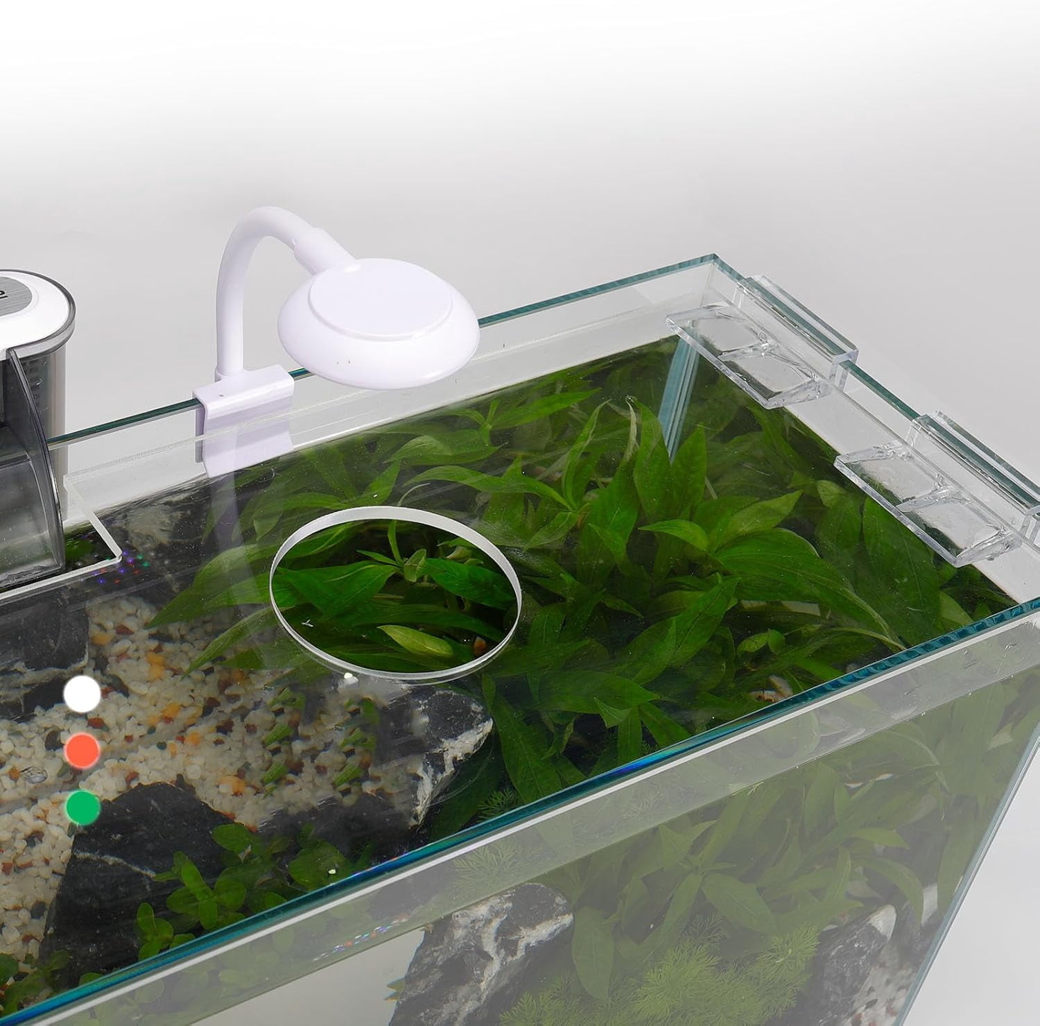 3 Gallon Glass Fish Tank with Filter Light and Lid, Aquarium Starter Kit