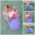 thumbnail image 2 of Sudadera para perro o gato Mi Baúl Lila Talla 5, 2 of 4