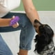 thumbnail image 3 of Cotton-filled Latex High-elastic Decompression Dog Toy Pet Toy Resistant To Chewing And Grinding Teeth Educational Pig Sound Pet, 3 of 4