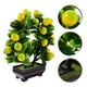 thumbnail image 5 of Planta artificial en maceta falsa en maceta falsa planta en macetas decoración de bonsai decoración falsa, 5 of 5
