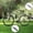 Black, variant on Extended Long Mudguard for Bike and Road Accessories