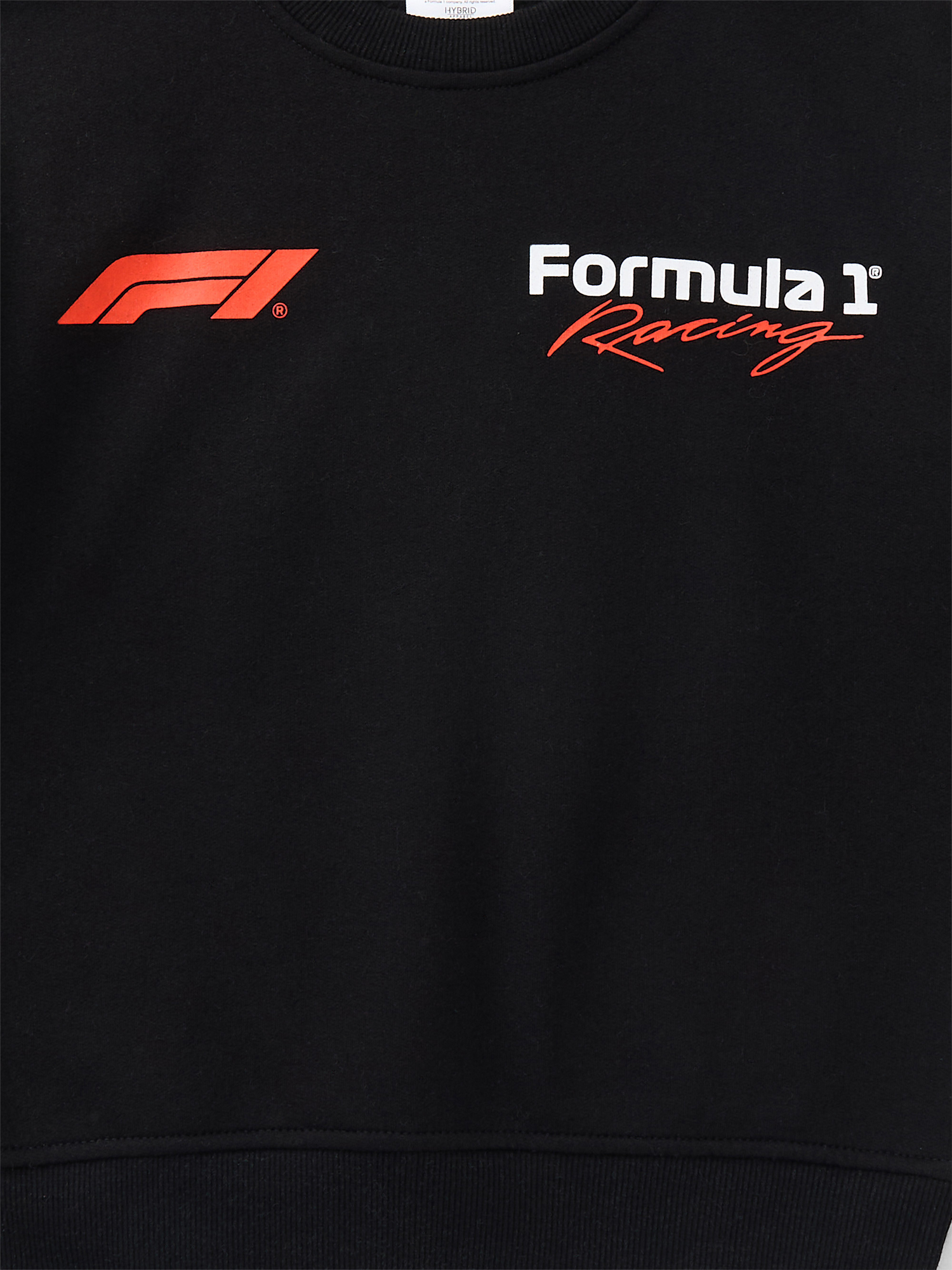 Formula 1 Racing Little Boys and Big Boys Graphic Sweatshirt with Long Sleeves, Sizes 4-18