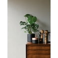 thumbnail image 4 of Advantage Sayuri Cream Leaf Trail Wallpaper, 4 of 6