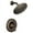 Oil Rubbed Bronze, variant on Moen T2232EP Chrome Posi-Temp(R) shower only