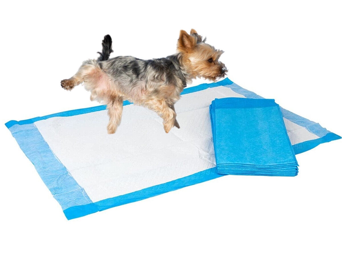 Brand New 17 X 24 Puppy Underpads Dog PEE Pads WEE PAD 100 bag brand-new-17-x-24-puppy-underpads-dog-pee-pads-wee-pad-100-bag