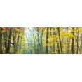 thumbnail image 2 of McLoughlin, James 32x13 White Modern Wood Framed Museum Art Print Titled - Tree Panorama VIII, 2 of 4