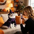 thumbnail image 4 of Halloween Cat Witch with Adjustable Cloak, Black and Purple Wizard Cape with Pumpkin Ornament and Hat for Medium Large Cats, Pet Apparel and Accessories, 4 of 5