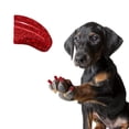 thumbnail image 1 of Tapones de uñas Pretty Claws Candy Apple Red para perros de 10 a 15 libras, 1 of 4