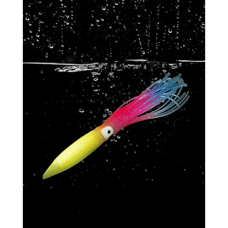 BLUEWING 10pcs Trolling Squid Skirts Fishing Saltwater with Float Inside  Squid Lures Fishing Saltwater Octopus Skirt for Tuna, Mahi, Marlin, Big  Game Fish Rainbow 6in 
