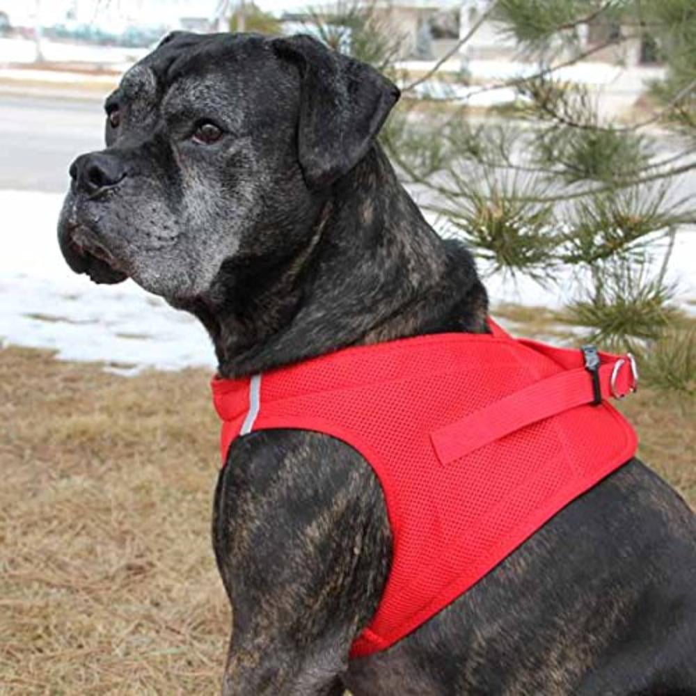 doggie design mesh harness