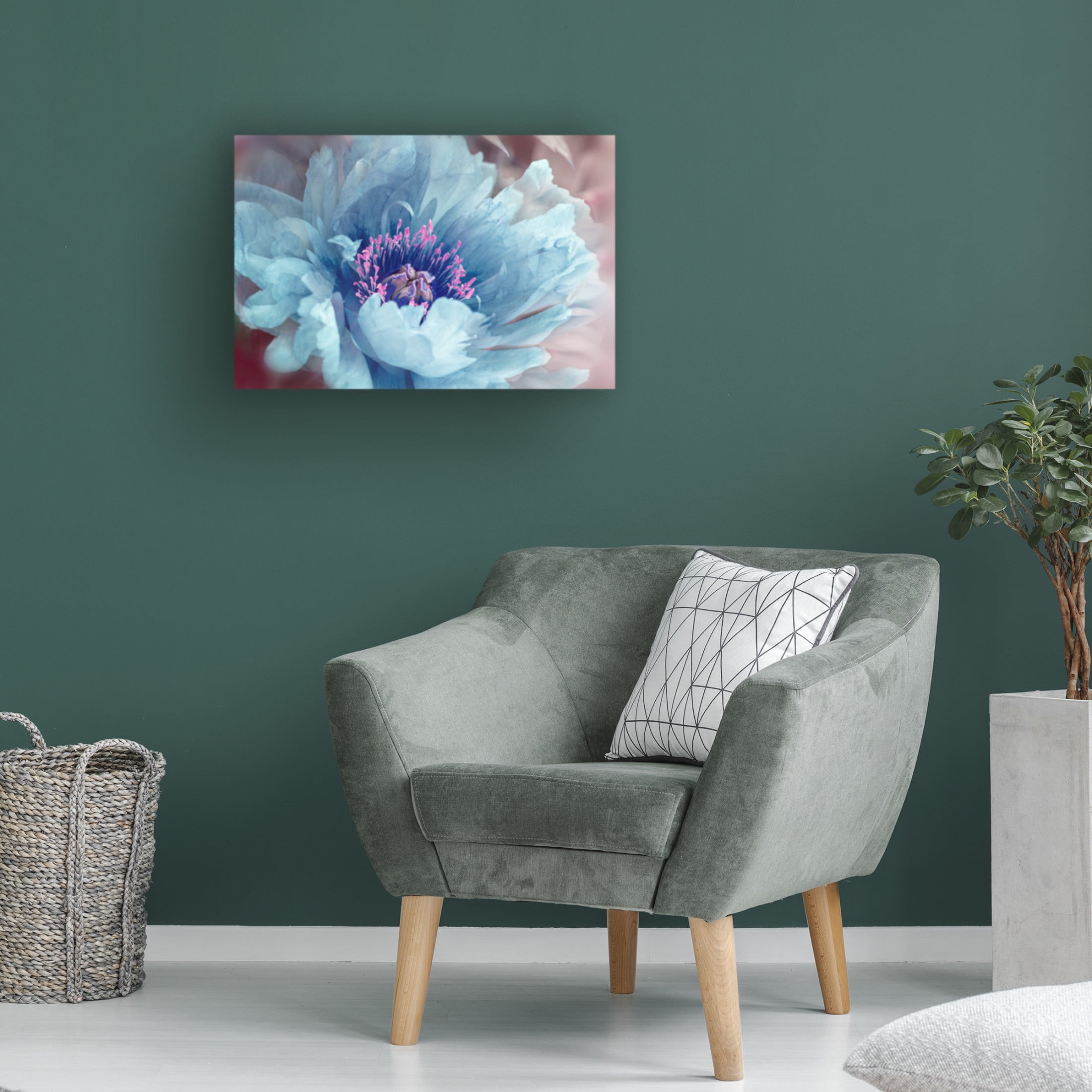 Trademark Fine Art Jacky Parker Peony Canvas Wall Art