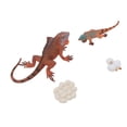 thumbnail image 1 of Ensemble de Modèles de Cycle de Vie d'Iguane, Figurines d'Animaux Réalistes Modèle de Croissance d'Iguane Ornement de Protection Environnementale Inodore pour l'Éducation Précoce, 1 of 7