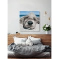 thumbnail image 4 of Parvez Taj Relaxing Dog Canvas Wall Art, 4 of 9