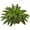Green, variant on Nearly Natural Plastic 23" Boston Fern Artificial Plant in Metallic Planter, Green