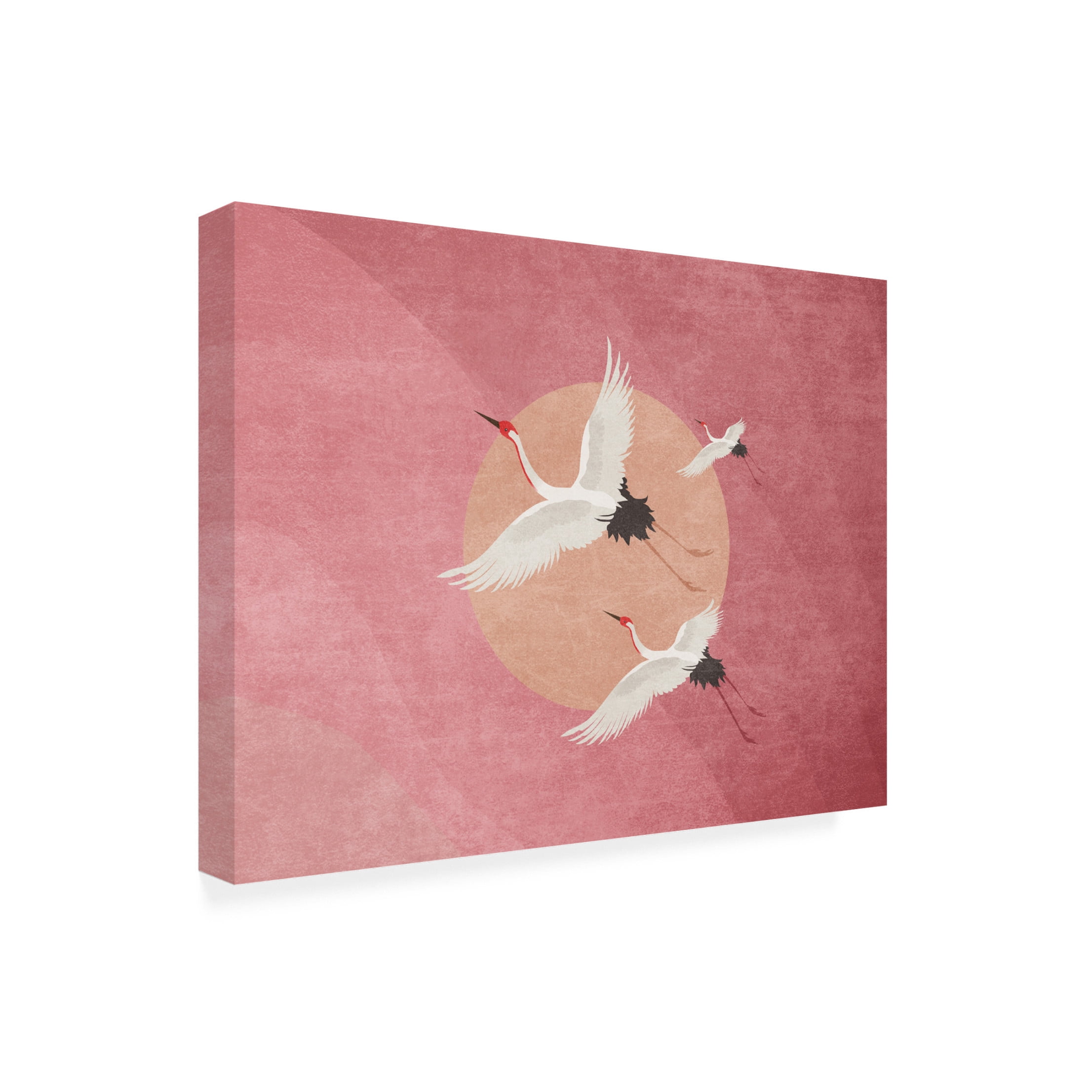 Trademark Fine Art Emel Tunaboylu  Ratio Print By Bohonewart Canvas Wall Art